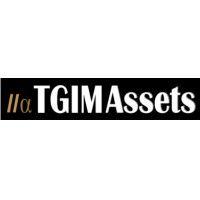 tgim assets