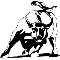 internet bull report, inc. logo image