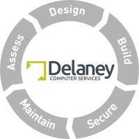 delaney computer services, inc. logo image