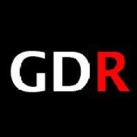 global data risk llc logo image