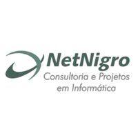 netnigro company solutions it logo image