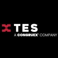 tes, a congruex company logo image