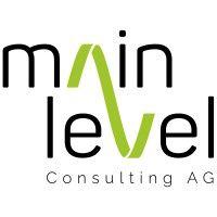 mainlevel consulting logo image