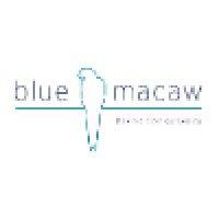 blue macaw consultancy logo image