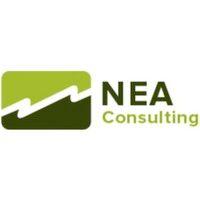 nea consulting inc logo image