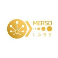 merso labs logo image