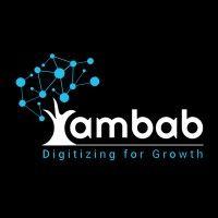 ambab infotech pvt ltd logo image