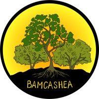 bamcashea logo image