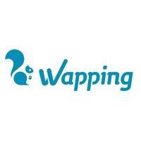 wapping networks logo image