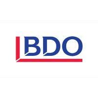 bdo switzerland logo image