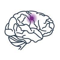 brain sentinel, inc. logo image