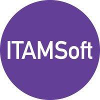 itamsoft logo image