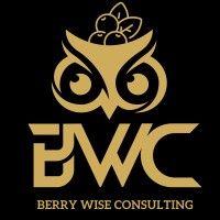 berry wise consulting