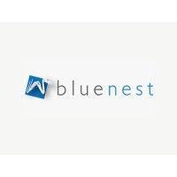 bluenest logo image