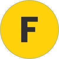 fundfindrs logo image