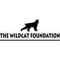 the wildcat foundation logo image