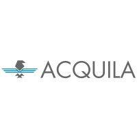 acquila business consulting llp logo image