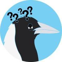 misinformed magpie logo image