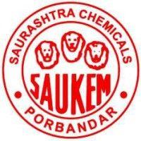 saurashtra chemical division of nirma limited logo image