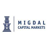 migdal capital markets logo image