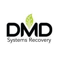 dmd systems recovery, llc. logo image