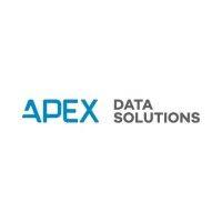 apex data solutions, llc logo image