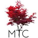 logo of Maple Tree Capital