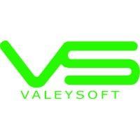 valeysoft logo image