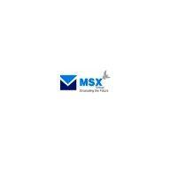 msx mall pvt ltd logo image