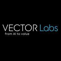 vector labs - from ai to value