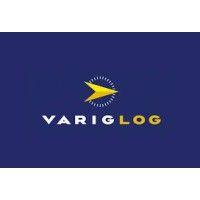 varig log logo image