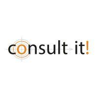 consult-it! e. v. logo image