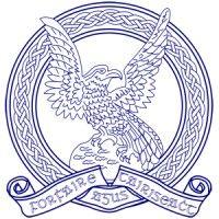 irish air corps logo image