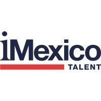 imexico real estate logo image