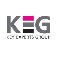 key experts group logo image