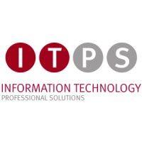 information technology professional solutions logo image