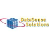 datasense solutions logo image