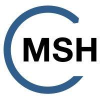 msh medien system haus gmbh & co. kg logo image