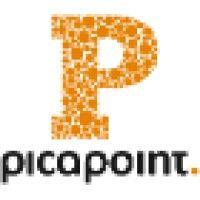 picapoint logo image