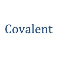 covalent asia group logo image