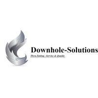 downhole solutions logo image