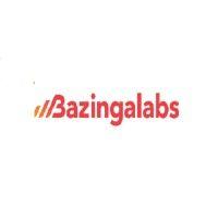 bazinga softtech pvt ltd logo image