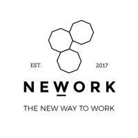 nework space logo image