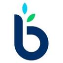 logo of Businessloans Com