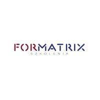 firma doradczo-szkoleniowa formatrix logo image