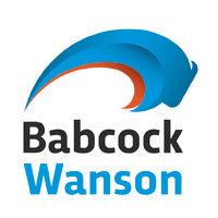 babcock wanson international logo image