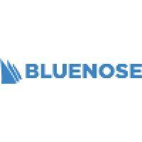 bluenose analytics logo image