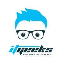 itgeeks logo image