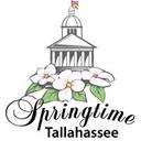 logo of Springtime Tallahassee Festival Inc