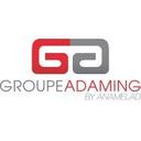 logo of Groupe Adaming